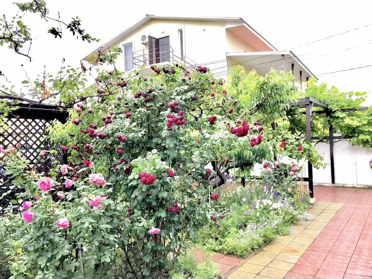 Akvitaniya Mini-Hotel Zatoka Zewnętrze zdjęcie